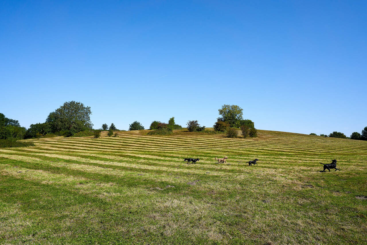 Albany Park New Homes in Church Crookham for Sale, New Houses